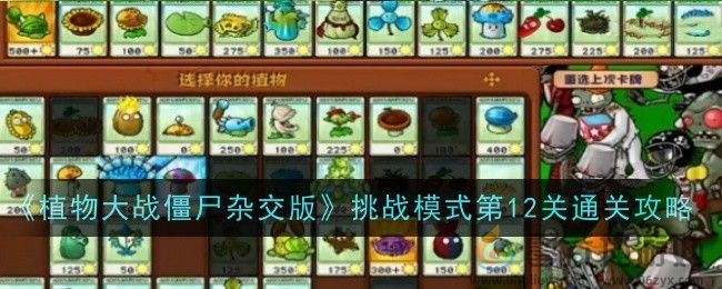 《植物大战僵尸杂交版》挑战模式第12关通关攻略(图1)