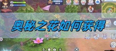 奥秘之花获取攻略(图1)