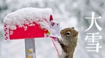 大雪文案大全(图1)