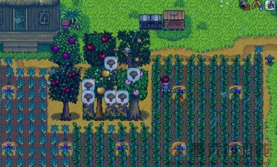 星露谷物语蘑菇树桩流玩法攻略(图1)